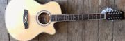 Brunswick BTK5012NA 12 String