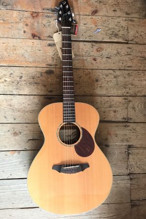 Breedlove Passport plus C200/SR