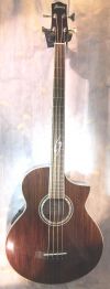 Ibanez acoustic bass