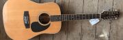 Jasmine TS612 12 string used