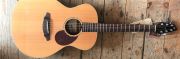 Breedlove Passport plus C200/SR